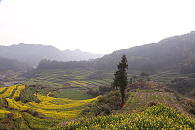 男生的女生一起差差的APP,异世界深渊：性别交织的恐怖冒险之旅-3