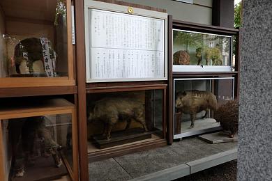 日韩欧国产精品一区综合无码｜“无码精品浪潮涌动，影视行业迈向国际化新篇章”-2