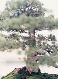 卧室上面是厨房好吗｜空中厨房，卧室新体验：揭秘垂直空间布局魅力