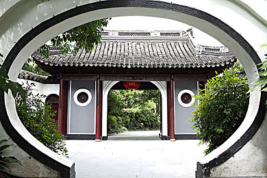 忘忧草社区在线播放｜穿越忘忧，聆听时光流转的社区乐章-3