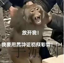 小洞饿了想吃大香肠有的声音｜““小洞饿了”引关注：揭秘儿童饮食营养困境，全社会共筑健康未来”-2