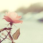 侵犯人妻女教师明步｜女教师明步：在挑战中成长，用奋斗书写教育辉煌-4