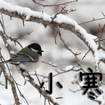 麻花传旗下艺人沈芯语-3
