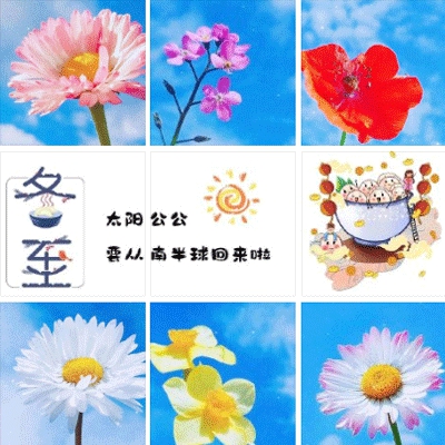 征服熟妇女高官最新章节｜激情征途：揭秘熟女高官恋战场的智慧角逐-5