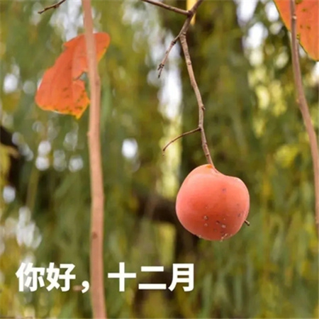 吃瓜-91｜网络“吃瓜”热潮：揭秘现象背后的社会心理与影响-3